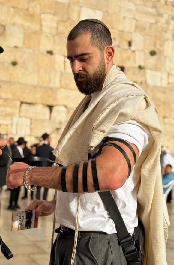 ארז גינו — האמן