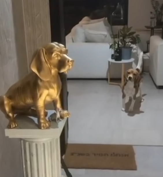 פסל מרגול 🐕